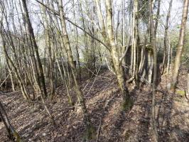 Ligne Maginot - BA89 - MOULIN LACAILLE - (Blockhaus pour canon) - Le blockhaus Ba89 en bas à gauche et 'le mur' à droite
