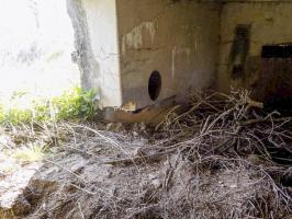 Ligne Maginot - BA91 - LE BOCHET NORD - (Blockhaus pour canon) - Facilité pour deux types de canon AC