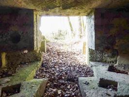 Ligne Maginot - BA99 - LES SAPINS - (Blockhaus pour canon) - 