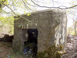 Ligne Maginot - BA101 - AVANCÉE DE ROCROI SUD - (Blockhaus pour canon) - L'arrière