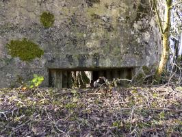 Ligne Maginot - BA102BIS - LE PAQUIS - (Blockhaus pour canon) - 