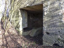 Ligne Maginot - BA102BIS - LE PAQUIS - (Blockhaus pour canon) - 