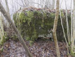 Ligne Maginot - BA108 - ROUTE DE REVIN 5 - (Blockhaus pour arme infanterie) - Face gauche, créneau Hotchkiss