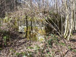 Ligne Maginot - BA109 - ROUTE DE REVIN 6 - (Blockhaus pour canon) - 