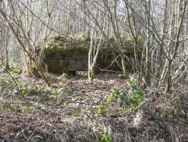Ligne Maginot - BA109 - ROUTE DE REVIN 6 - (Blockhaus pour canon) - 