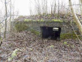 Ligne Maginot - BA109 - ROUTE DE REVIN 6 - (Blockhaus pour canon) - L'arrière, entrée AC