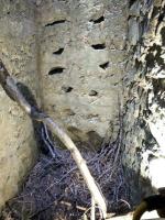 Ligne Maginot - CASSE BLANCHE - (Abri) - Issue de secours ?
Des réservations pour le scellement d'échelons sont visibles