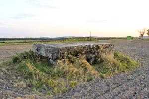 Ligne Maginot - BARST 4 - (Blockhaus pour arme infanterie) - En plein champs