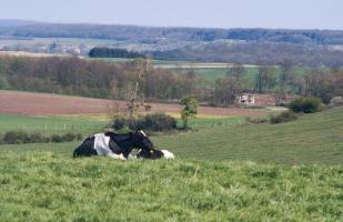 Ligne Maginot - MC23B - MC25 - (Blockhaus lourd type STG / STG-FCR - Double) - Vue depuis le Rebberg