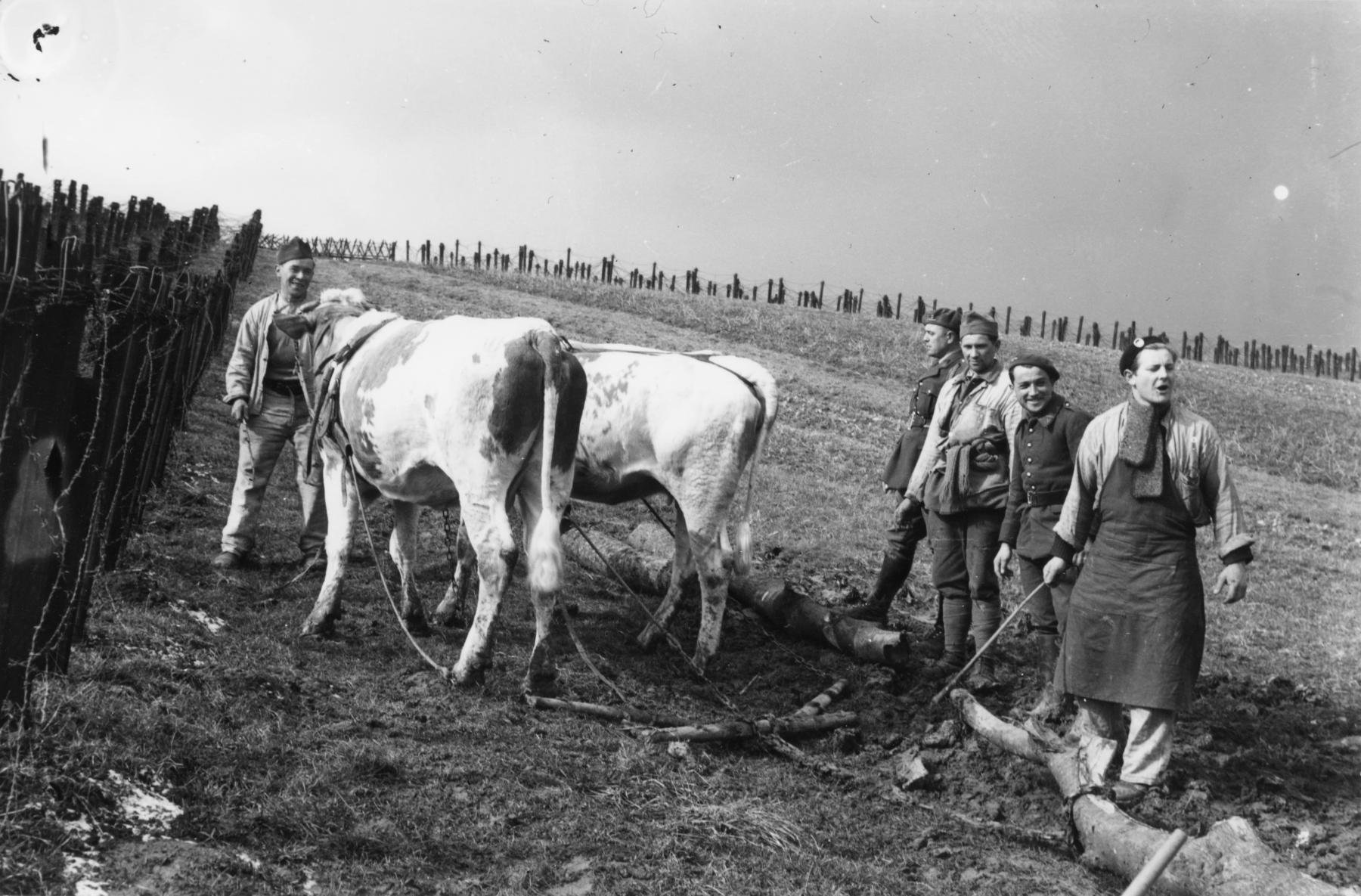 Ligne Maginot - OBERROEDERN NORD - (Casemate d'infanterie - Double) - Travaux d'aménagement de la position à proximité de la casemate - Inconnu 