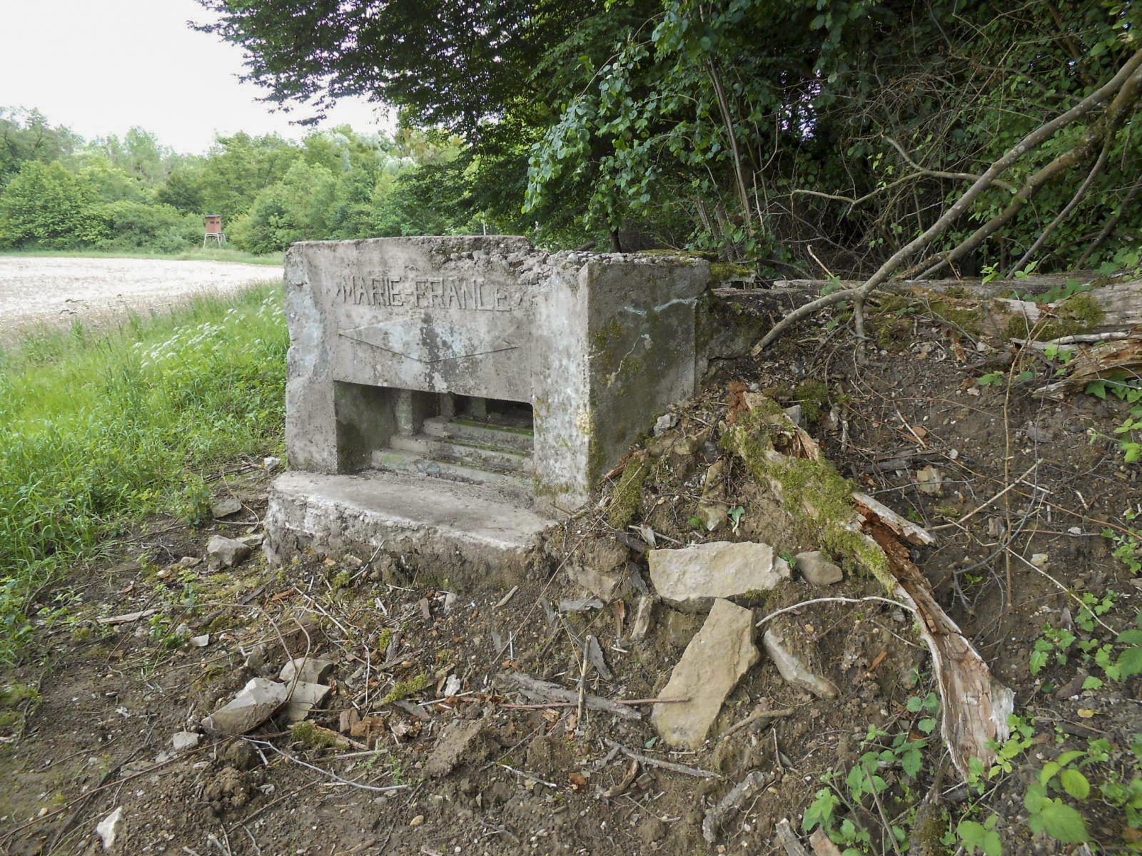 Ligne Maginot - HERBITZHEIM EICHELFELD - (Cuve pour arme d'infanterie) - Vue générale - Gérard KUFFLER