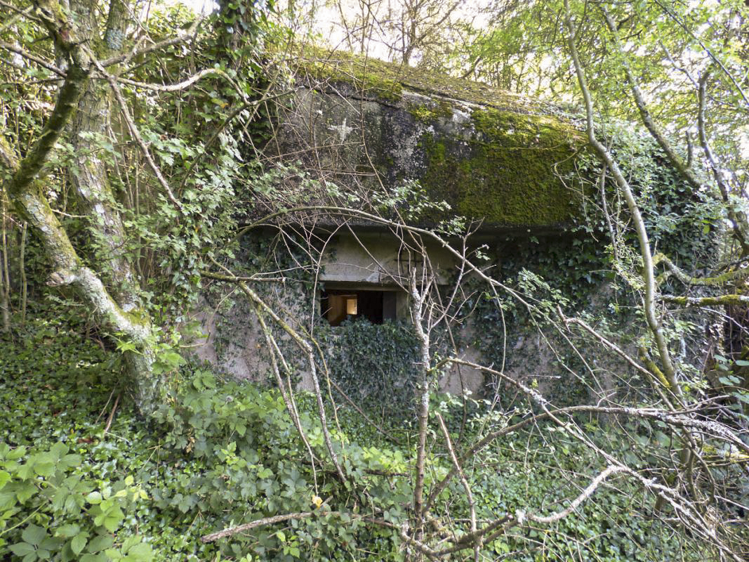 Ligne Maginot - B812 - PAR DELA L'ETANG - (Blockhaus pour canon) -  - JMBrams