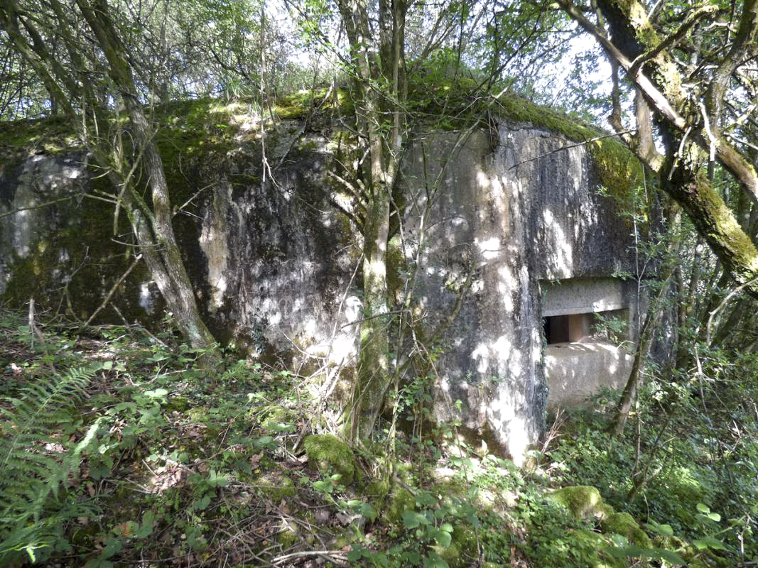 Ligne Maginot - B812 - PAR DELA L'ETANG - (Blockhaus pour canon) -  - JMBrams