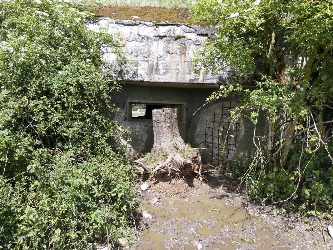 Ligne Maginot - B815 - LA FILATURE - (Blockhaus pour canon) - 