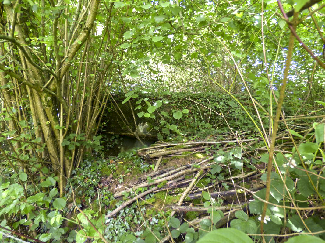 Ligne Maginot - B816 - LA MALTERIE - (Blockhaus pour canon) - 