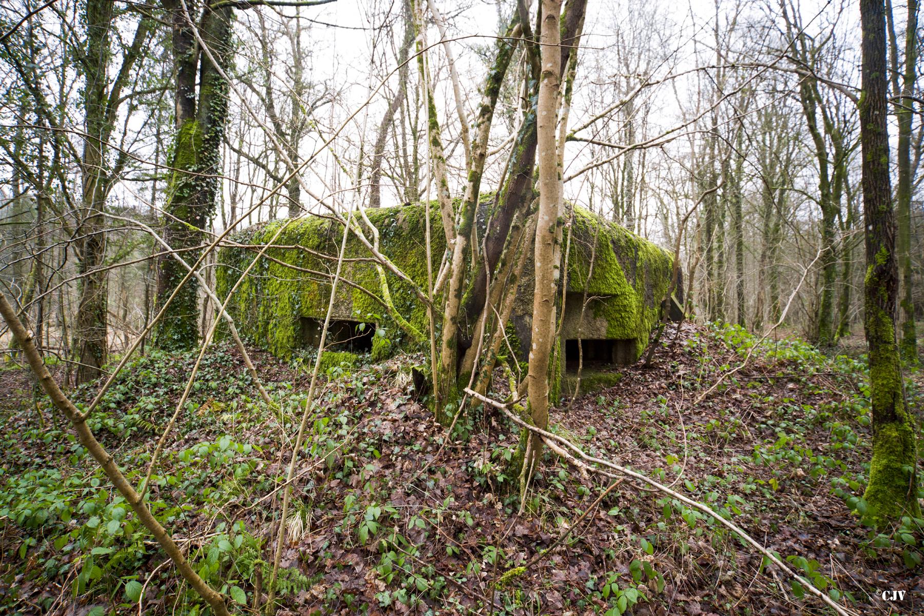Ligne Maginot - B817 - LA GALOPERIE NORD - (Blockhaus pour canon) - 