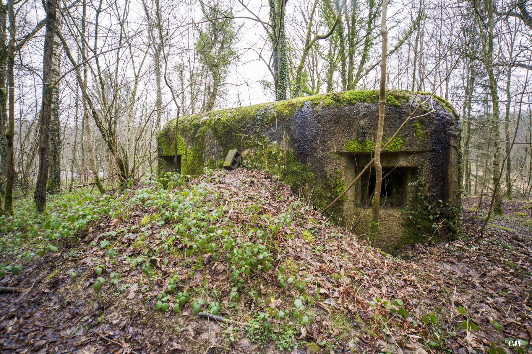 Ligne Maginot - B817 - LA GALOPERIE NORD - (Blockhaus pour canon) - 