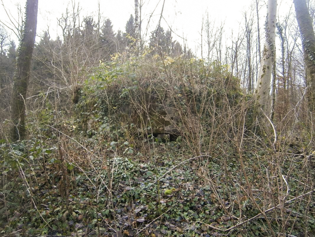 Ligne Maginot - BA3 - NEUVE-FORGE - (Blockhaus pour canon) - 
