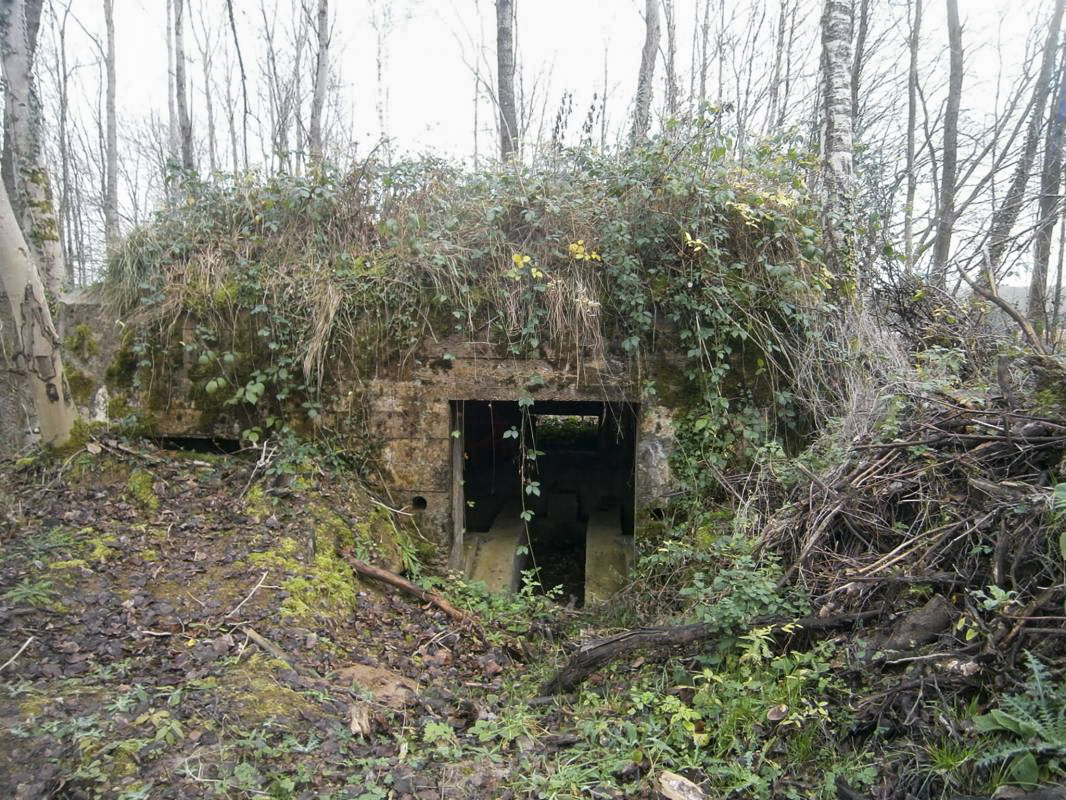 Ligne Maginot - BA3 - NEUVE-FORGE - (Blockhaus pour canon) -  - P.VILAIN