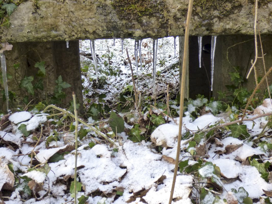 Ligne Maginot - BA3 - NEUVE-FORGE - (Blockhaus pour canon) - 
