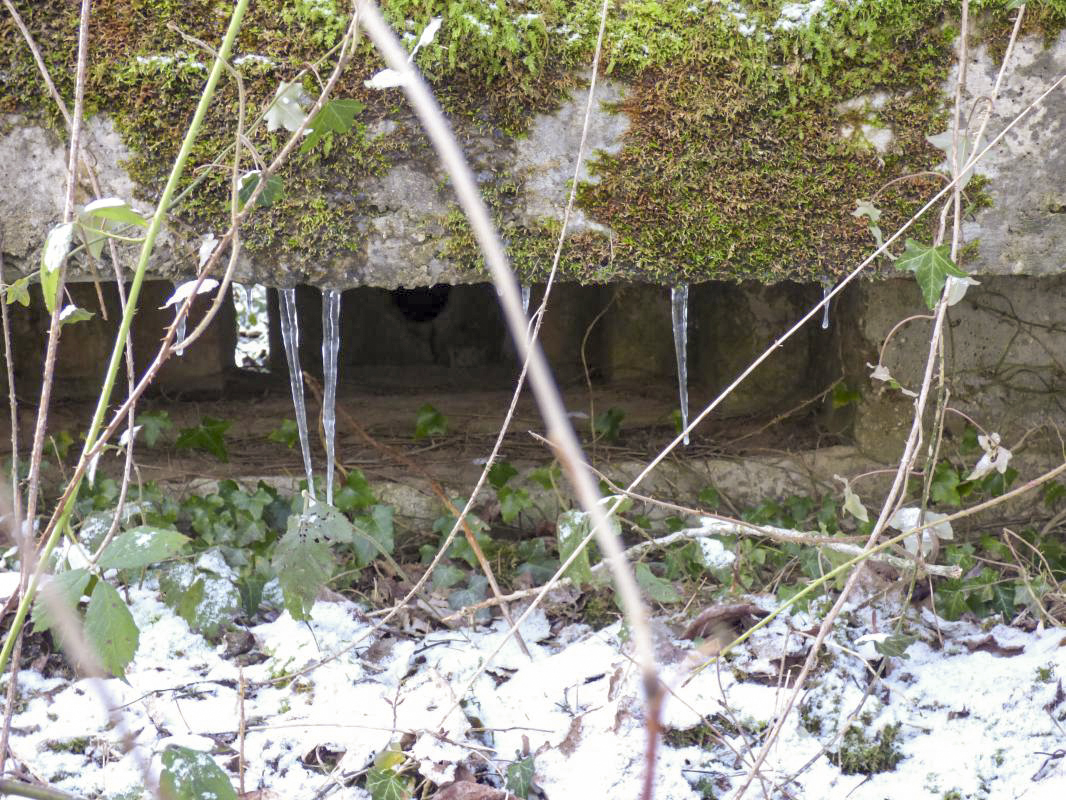 Ligne Maginot - BA3 - NEUVE-FORGE - (Blockhaus pour canon) - 