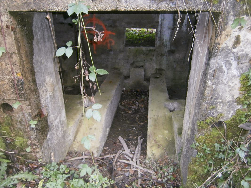 Ligne Maginot - BA3 - NEUVE-FORGE - (Blockhaus pour canon) - 
