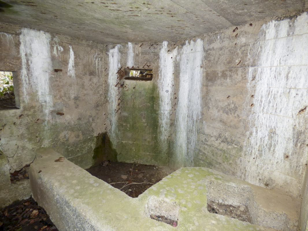Ligne Maginot - BA3 - NEUVE-FORGE - (Blockhaus pour canon) - 