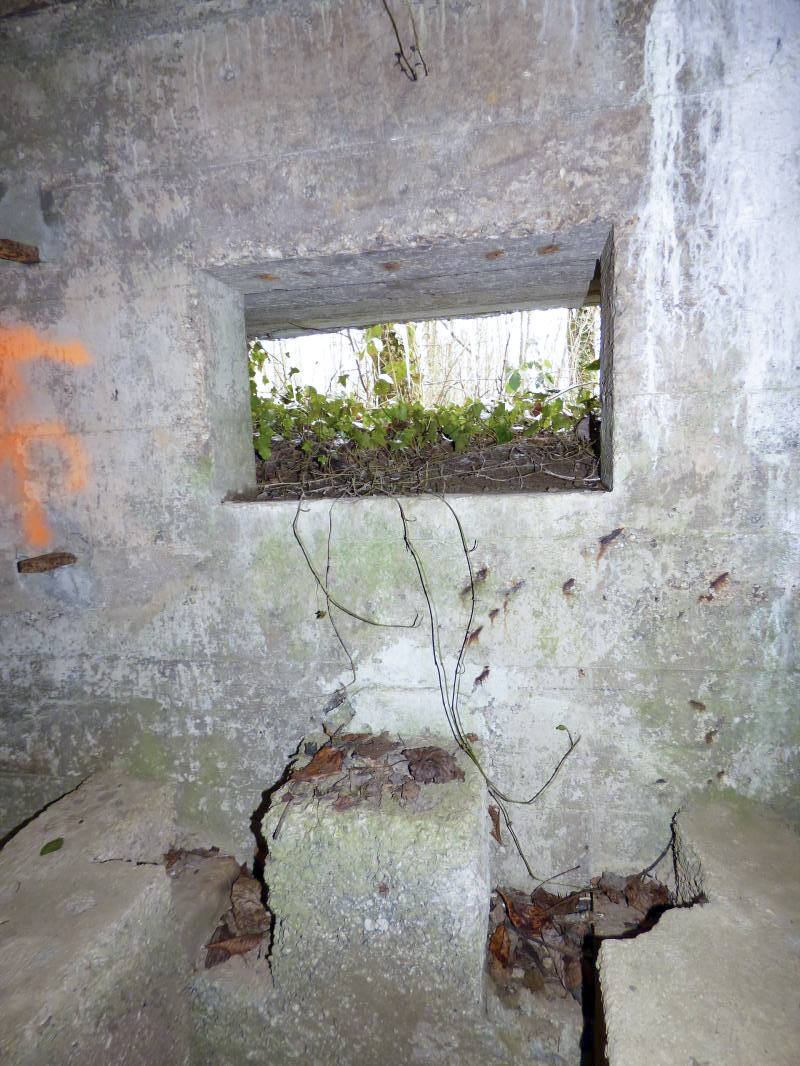 Ligne Maginot - BA3 - NEUVE-FORGE - (Blockhaus pour canon) - 