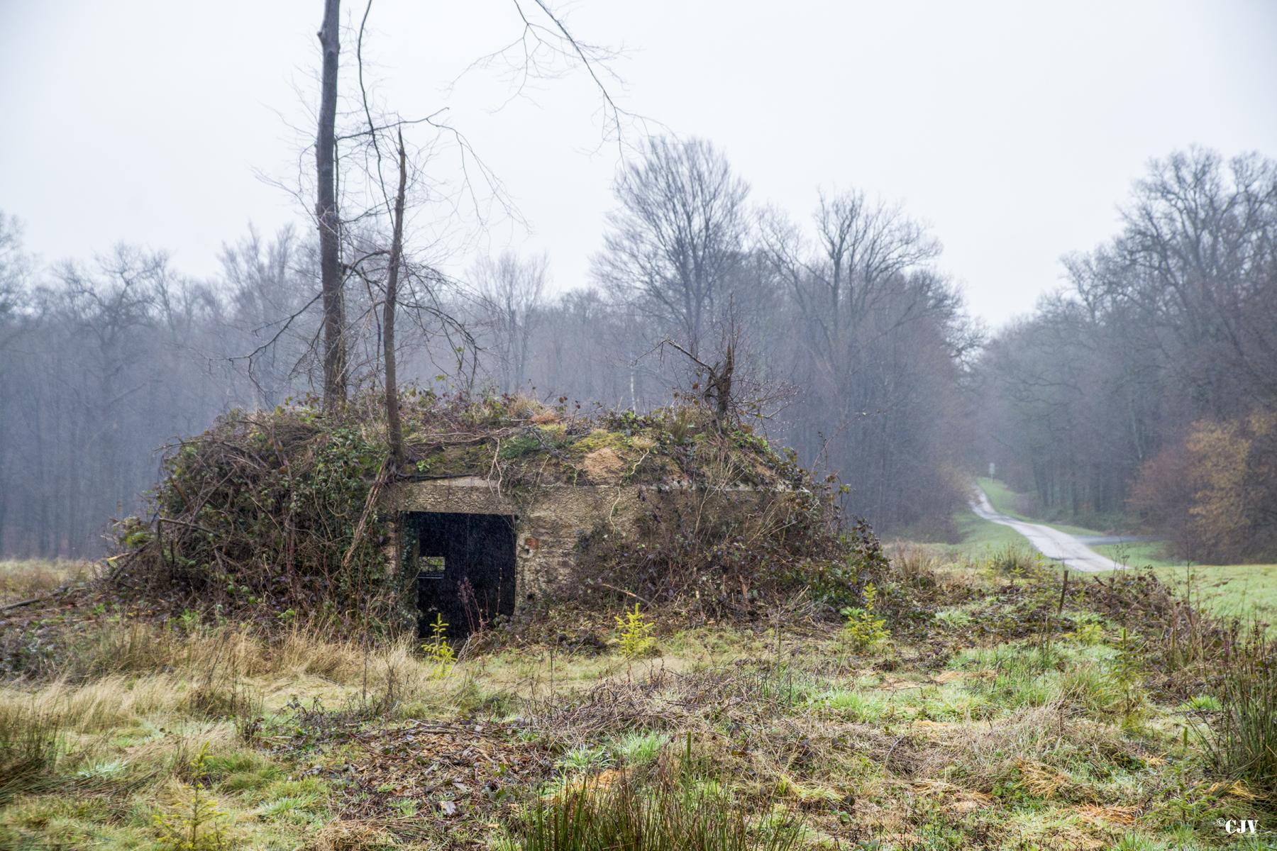 Ligne Maginot - BA4 - ROUTE DE NEUVE FORGE - (Blockhaus pour canon) - 