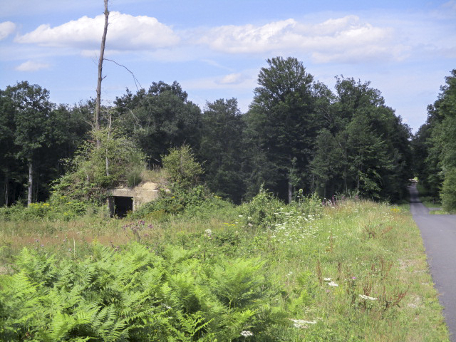 Ligne Maginot - BA4 - ROUTE DE NEUVE FORGE - (Blockhaus pour canon) - Blockhaus situé dans son environnement.