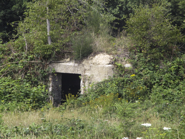 Ligne Maginot - BA4 - ROUTE DE NEUVE FORGE - (Blockhaus pour canon) - 