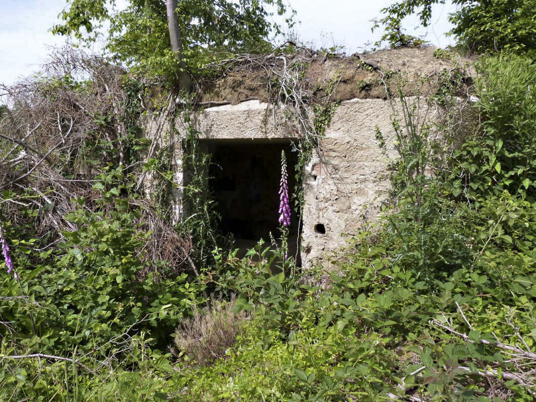 Ligne Maginot - BA4 - ROUTE DE NEUVE FORGE - (Blockhaus pour canon) - 