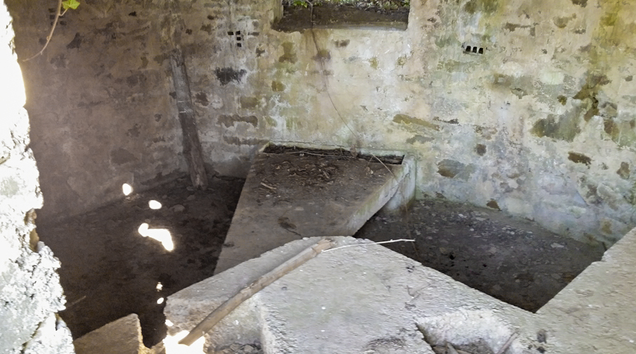 Ligne Maginot - BA4 - ROUTE DE NEUVE FORGE - (Blockhaus pour canon) -  - Patrice Vilain