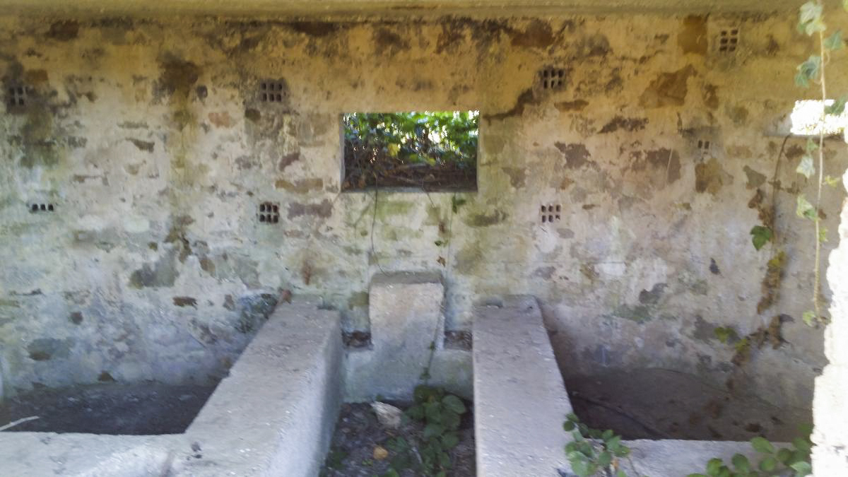 Ligne Maginot - BA4 - ROUTE DE NEUVE FORGE - (Blockhaus pour canon) -  - Patrice Vilain