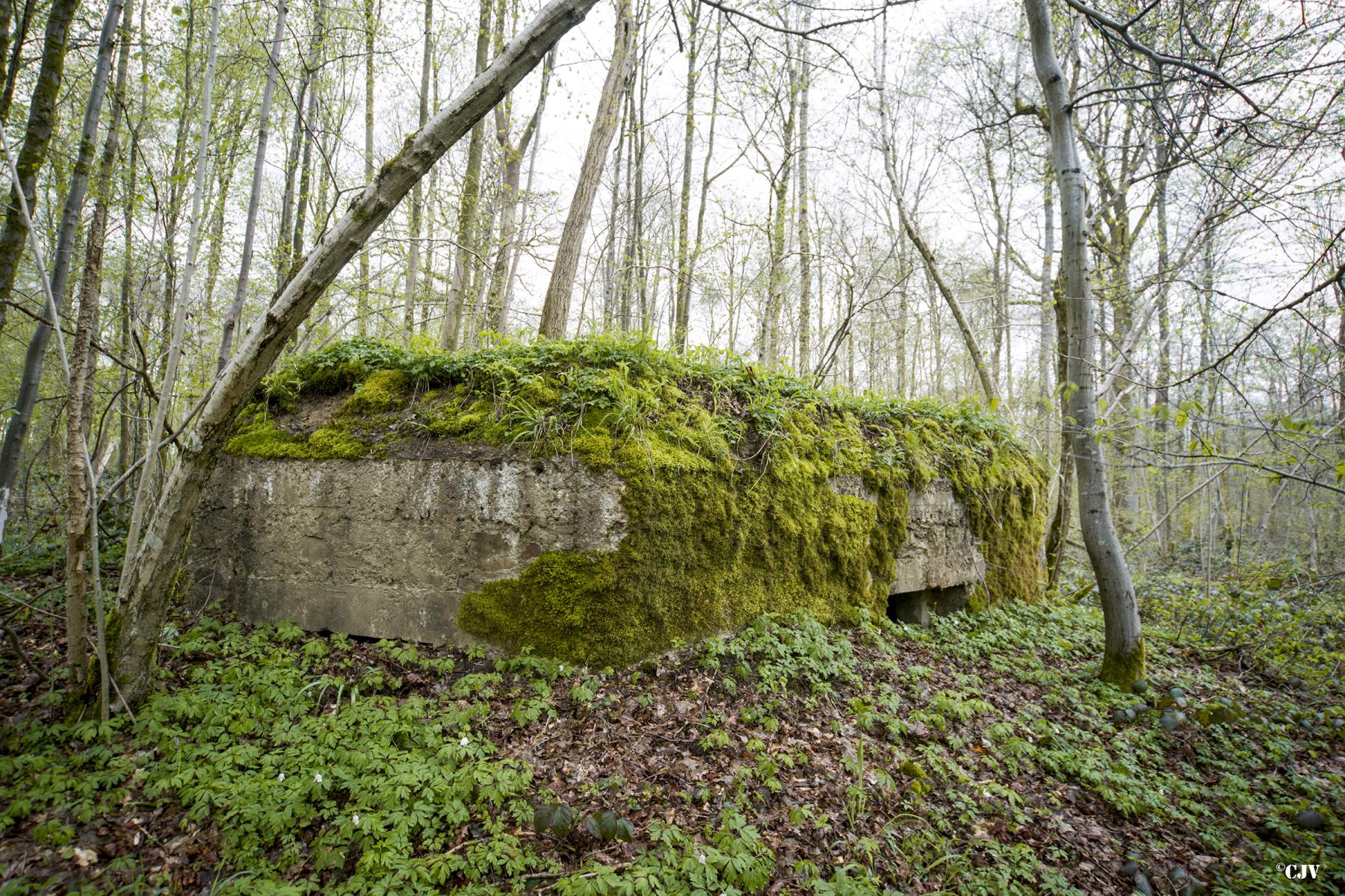 Ligne Maginot - BA8 - LE MAMELON - (Blockhaus pour canon) - 