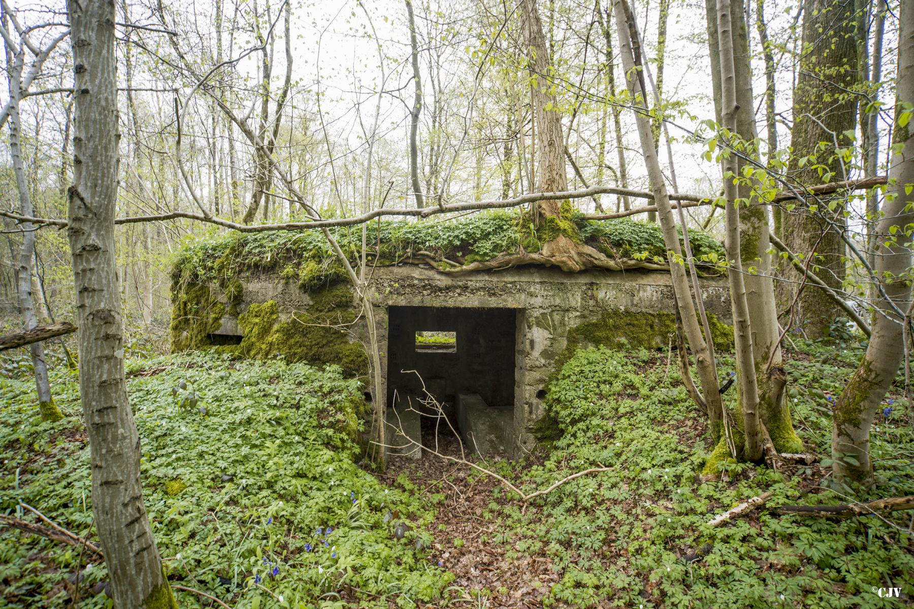 Ligne Maginot - BA8 - LE MAMELON - (Blockhaus pour canon) - 