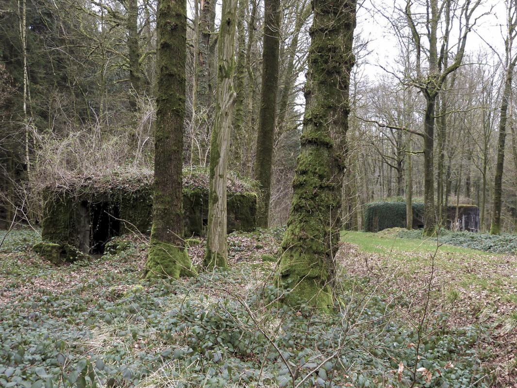 Ligne Maginot - BA13 - LAIE BLANCHE - (Blockhaus pour canon) - En arrière-plan à droite la casemate A7-Le Mamelon - JMBrams