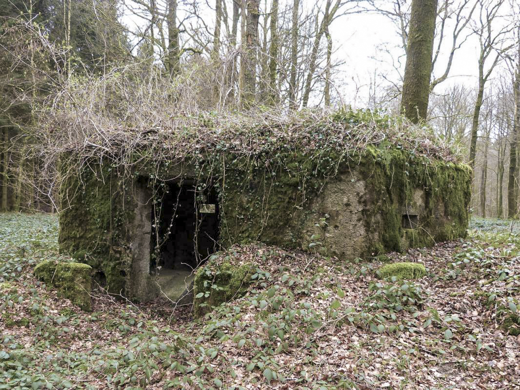 Ligne Maginot - BA13 - LAIE BLANCHE - (Blockhaus pour canon) -  - JMBrams