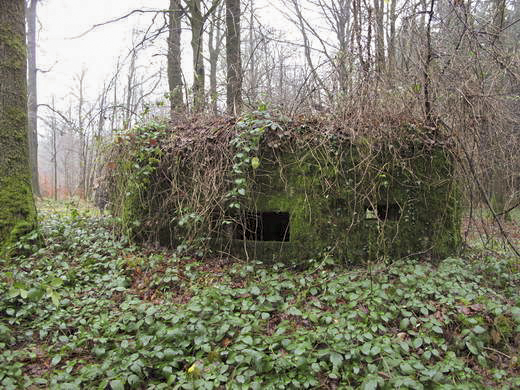 Ligne Maginot - BA13 - LAIE BLANCHE - (Blockhaus pour canon) -  - AALMA - www.lignemaginot.com