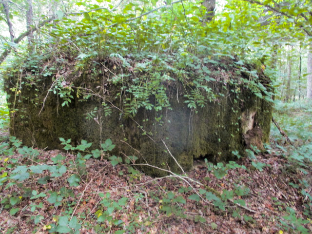 Ligne Maginot - BA21 - CHARME BEAUDET - (Blockhaus pour canon) - 