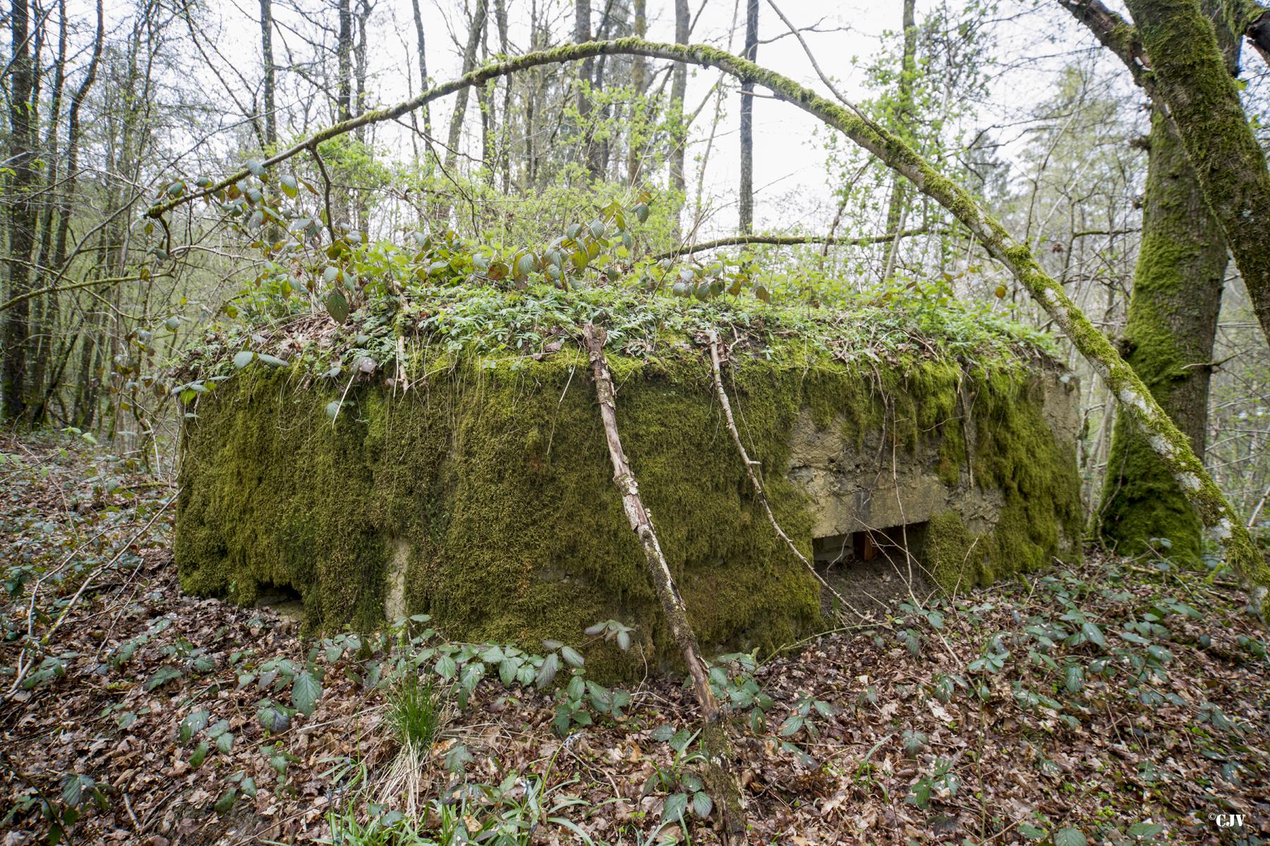 Ligne Maginot - BA21 - CHARME BEAUDET - (Blockhaus pour canon) - 