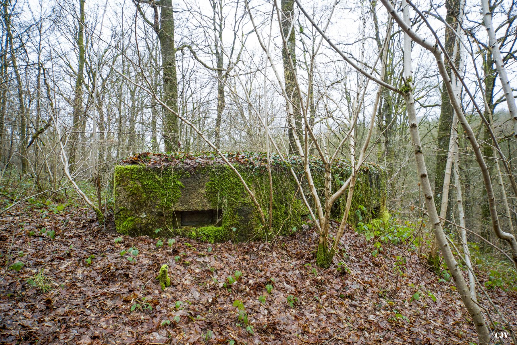 Ligne Maginot - BA24 - ROUTE DU MILIEU - (Blockhaus pour canon) - 
