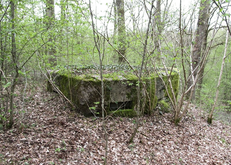 Ligne Maginot - BA24 - ROUTE DU MILIEU - (Blockhaus pour canon) - 