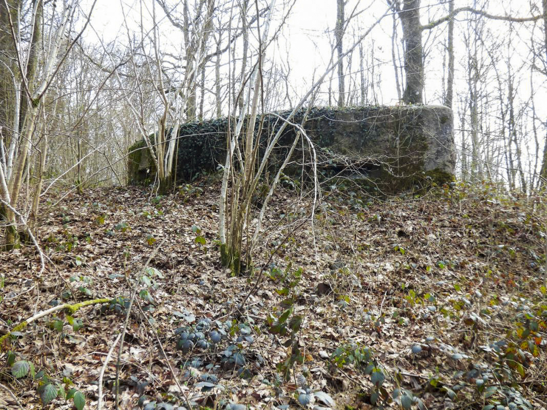Ligne Maginot - BA24 - ROUTE DU MILIEU - (Blockhaus pour canon) - 
