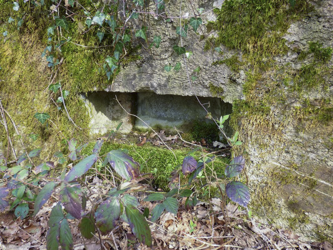Ligne Maginot - BA24 - ROUTE DU MILIEU - (Blockhaus pour canon) - 