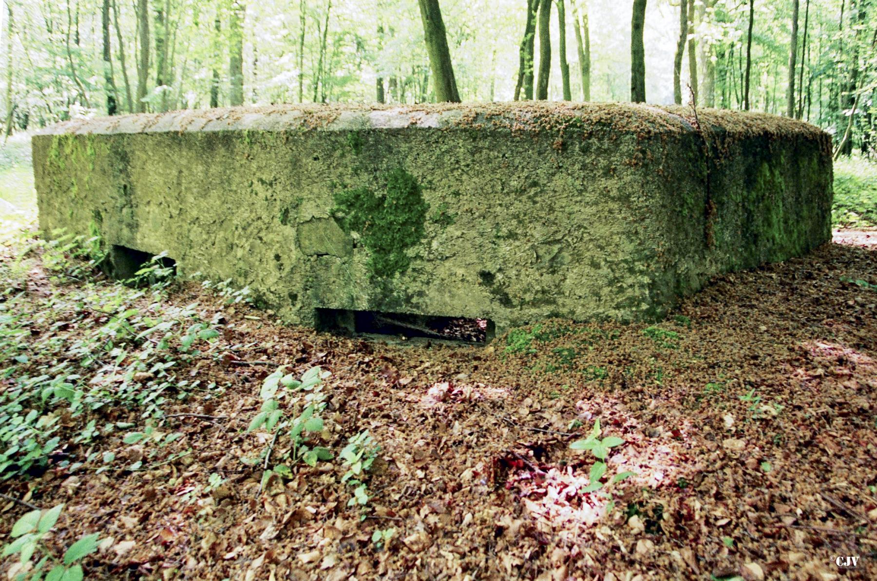 Ligne Maginot - BA25 - ISAIE OUEST - (Blockhaus pour canon) - 