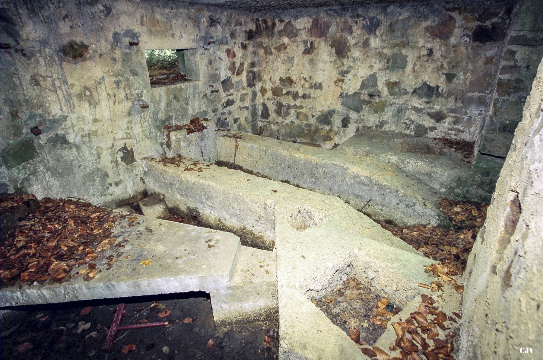 Ligne Maginot - BA25 - ISAIE OUEST - (Blockhaus pour canon) - 