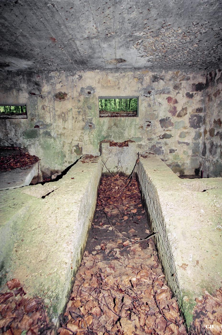 Ligne Maginot - BA25 - ISAIE OUEST - (Blockhaus pour canon) - 