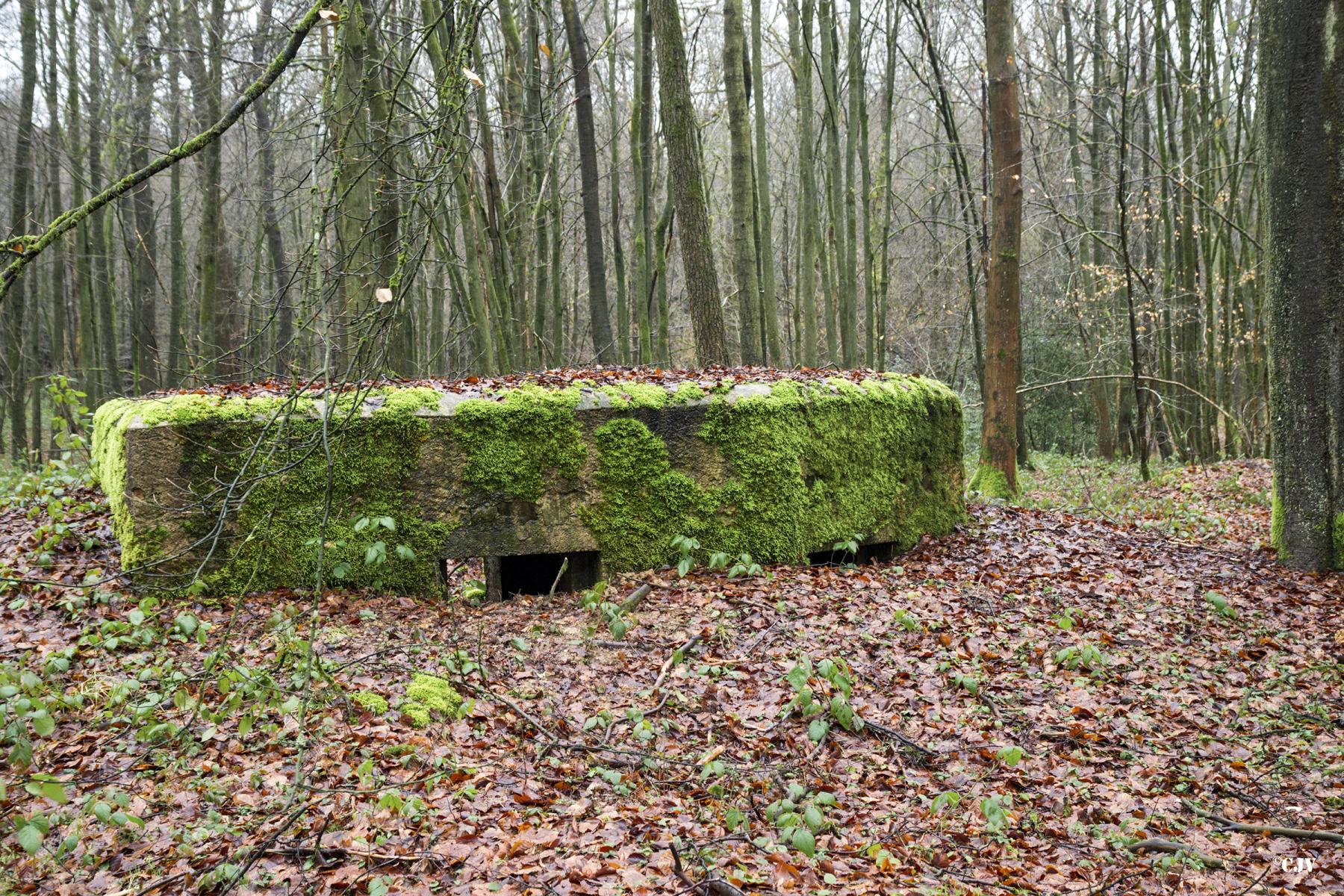 Ligne Maginot - BA25 - ISAIE OUEST - (Blockhaus pour canon) - 