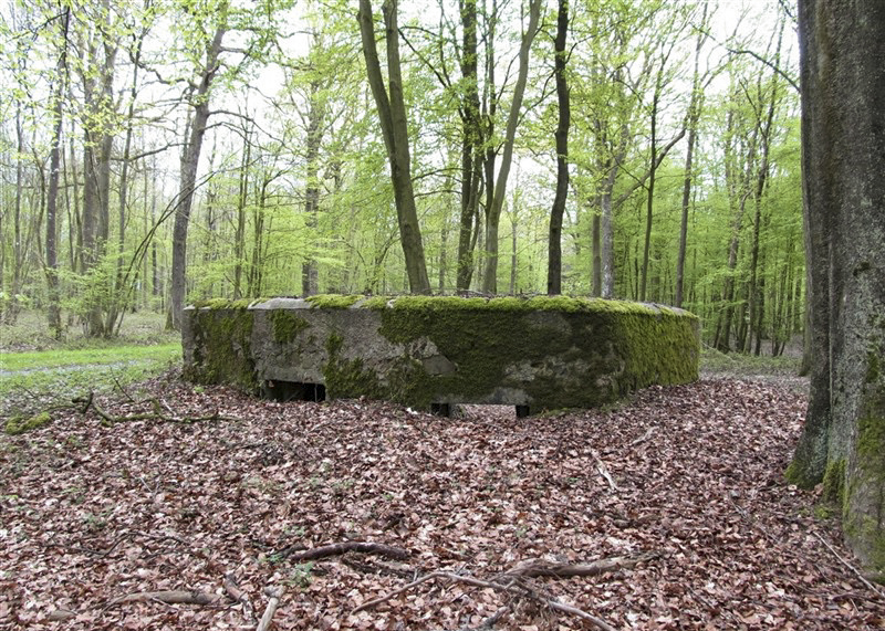 Ligne Maginot - BA25 - ISAIE OUEST - (Blockhaus pour canon) - 